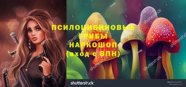 соль ск Новокубанск