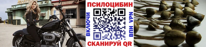 блэк спрут зеркало  Пугачёв  Галлюциногенные грибы ЛСД  нарко площадка состав  закладки 